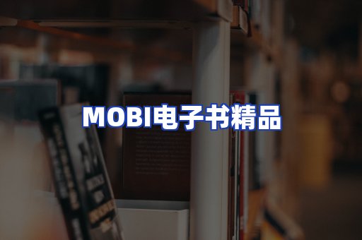 外文电子书产品